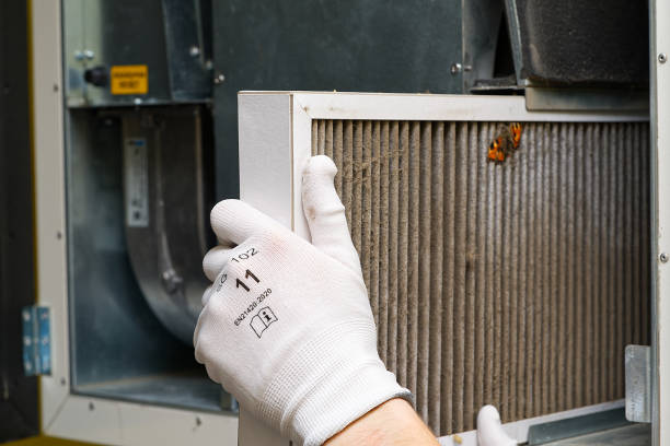 Best Emergency Air Duct Cleaning  in Lecanto, FL