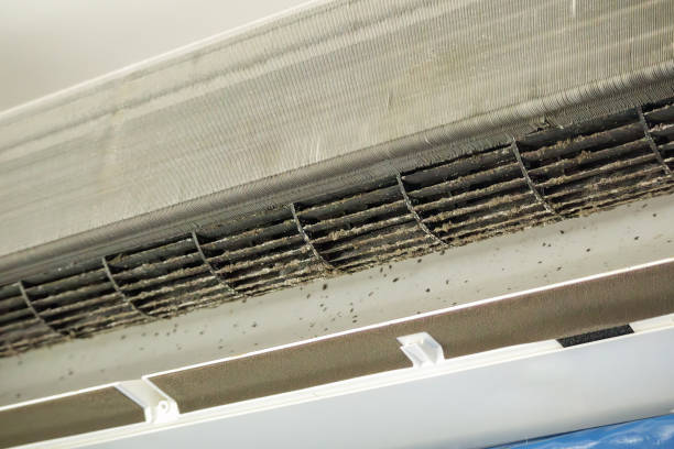 Best HVAC Air Duct Cleaning  in Lecanto, FL