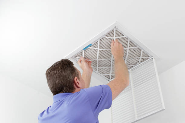 Best Professional Duct Cleaning Services  in Lecanto, FL